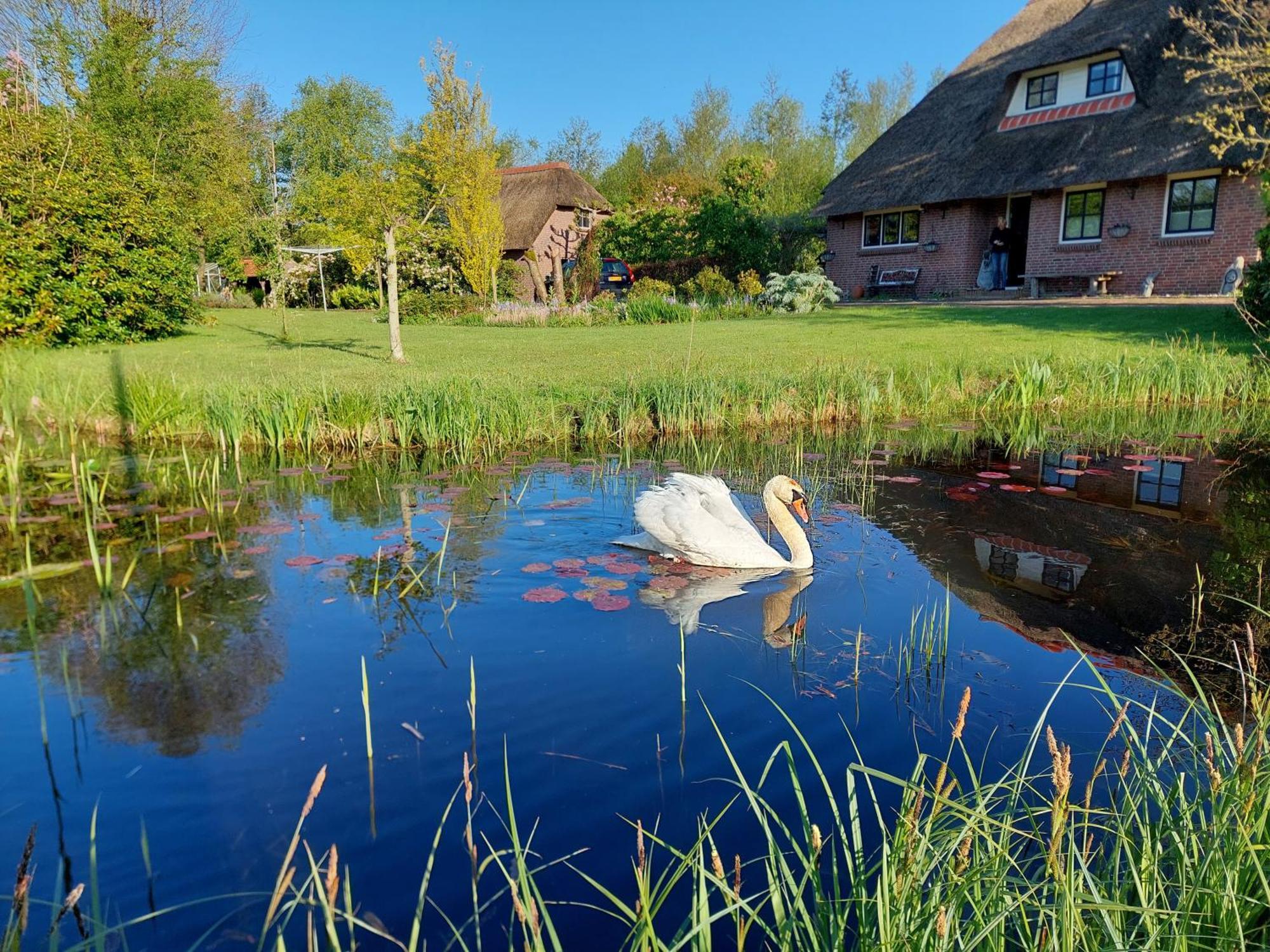 Giethoorn Lodge Exteriör bild
